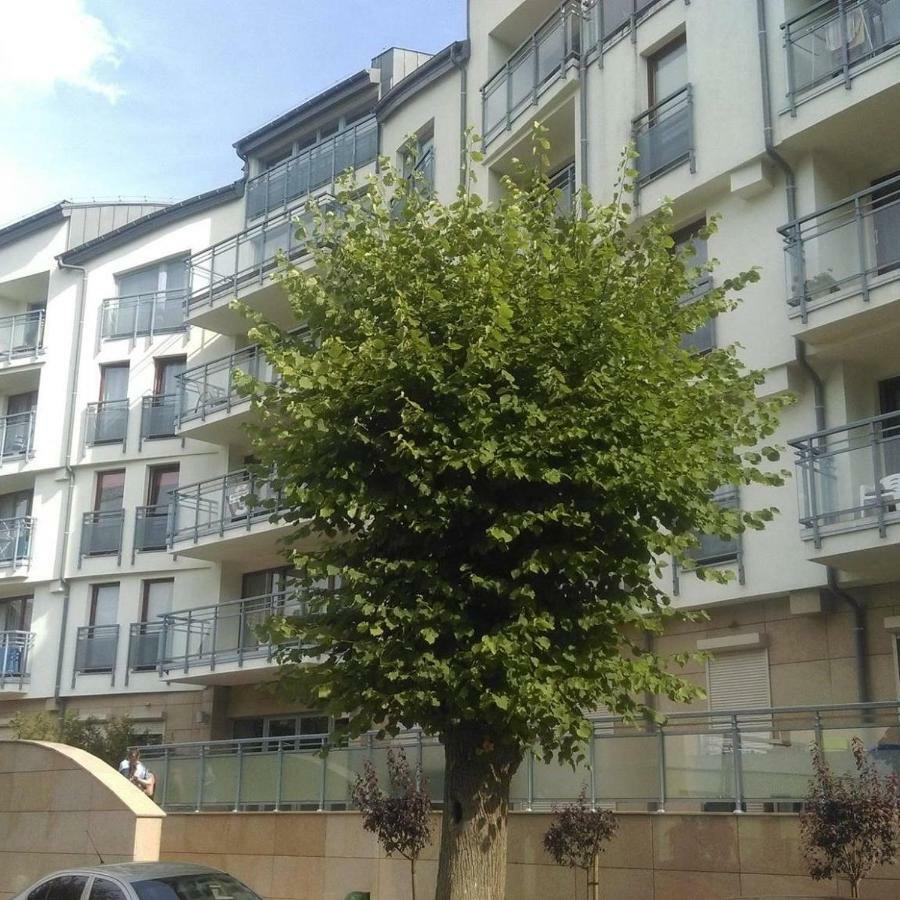 Apartament Flauta, Villa Marea Misdroy Exterior foto